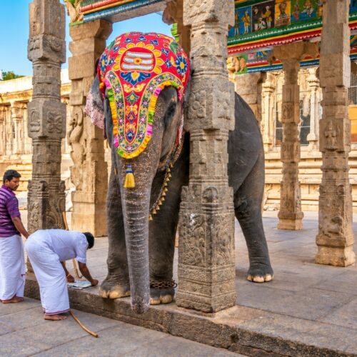 South India – Temples, Tea Hills & Backwaters