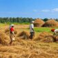 India Farm Tour 2 Uday Tours 85x85