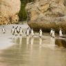 South Africa Short Image Uday Tours