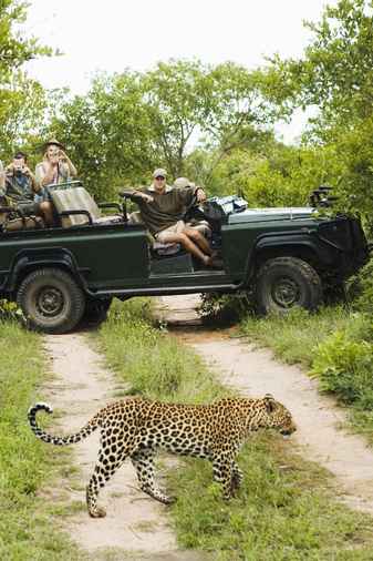 Africa Tour Uday Tours