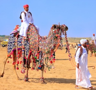 Bikaner India tourism