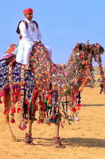India Uday Tours