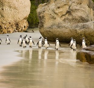 South Africa Uday Tours