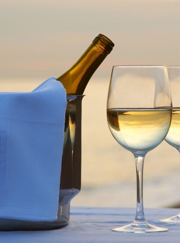 Winetour india Tour 2 | Uday Tours