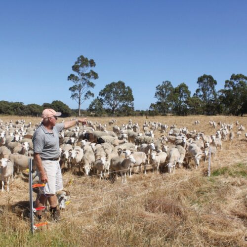 Agricultural Highlights of Australia’s Top End