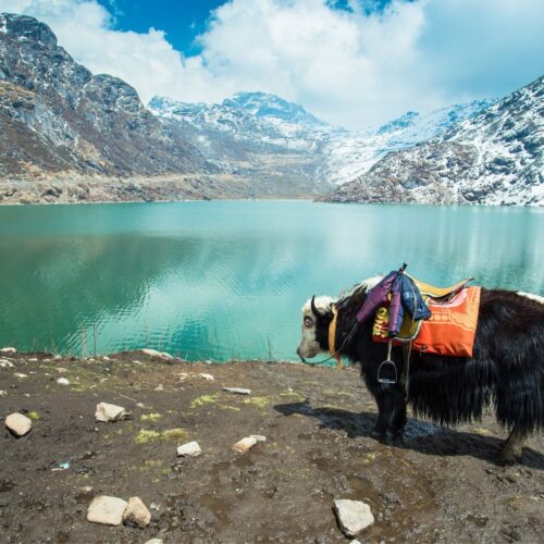 Himalayan Secrets – Arunachal Pradesh & Assam Discovery