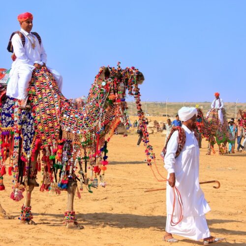 Royal Rajasthan – Palaces, Forts & Desert